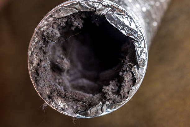 Best Affordable HVAC Duct Cleaning  in Sterling, GA