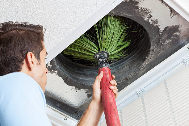 Best Home Air Vent Cleaning  in Sterling, GA